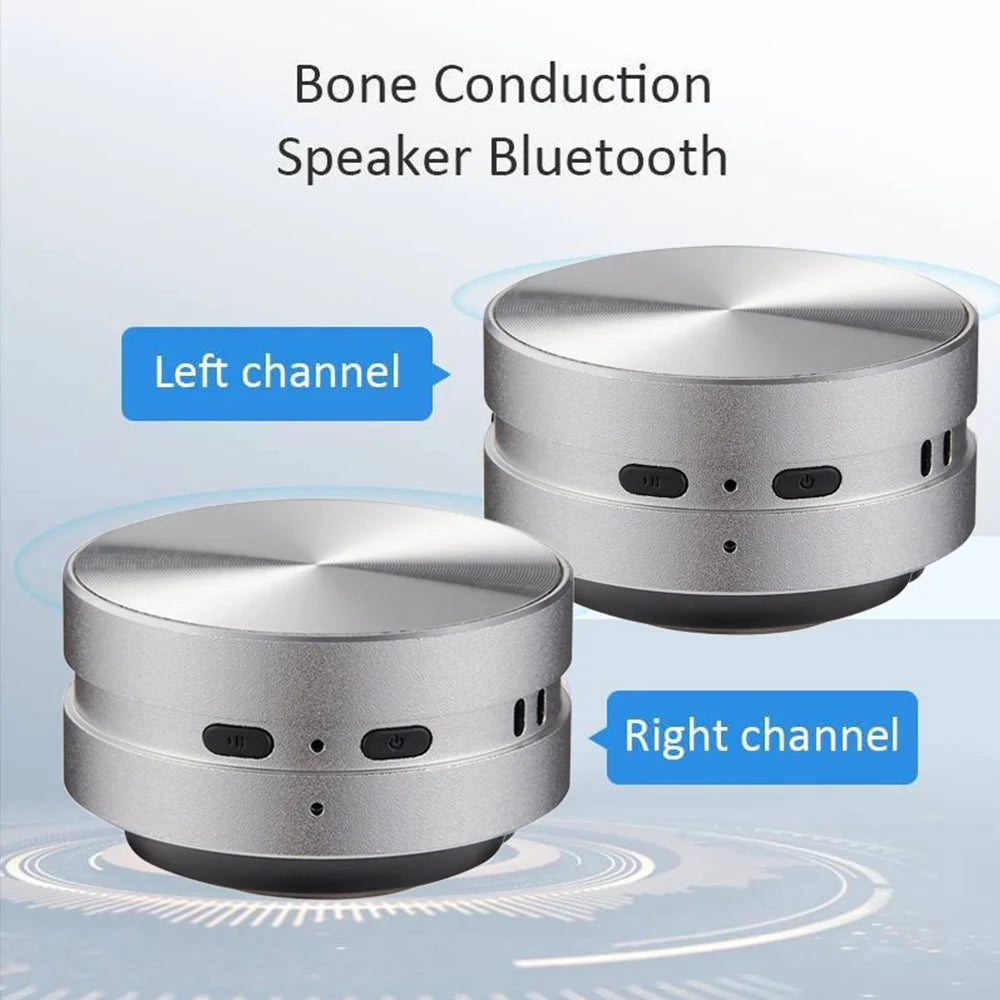 2025 New Bone Conduction Speaker Bluetooth-Compatible TWS Wireless Stereo Sound Hummingbird Speaker With FM Radio Dropshipping